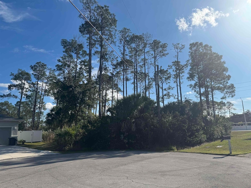 13 Random Place, Palm Coast, FL 32164 - photo 1