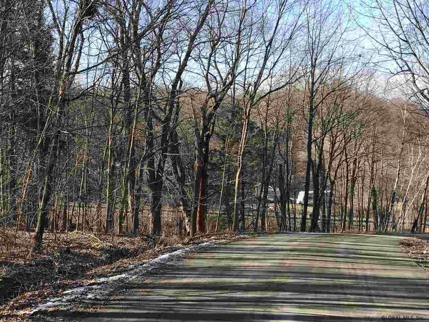 0 Black Cherry Ln unit 201811587, Troy, NY 12180 - photo 1