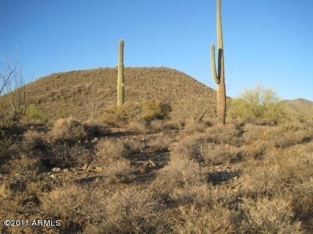 zimmerman_lot_006