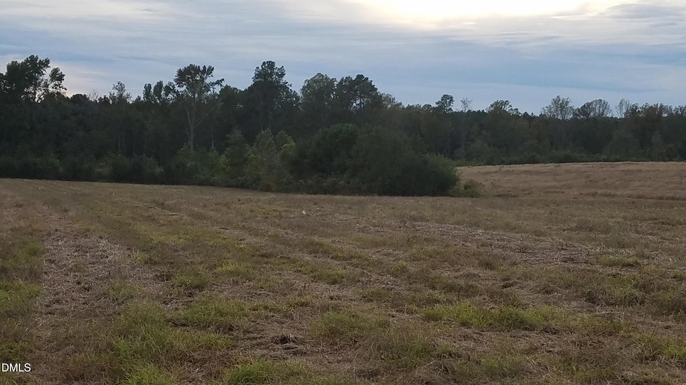 111 Old Wagon Ln, Sanford, NC 27332 - photo 1