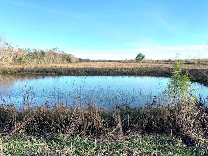 000 County Road 167, Alvin, TX 77511 - photo 1