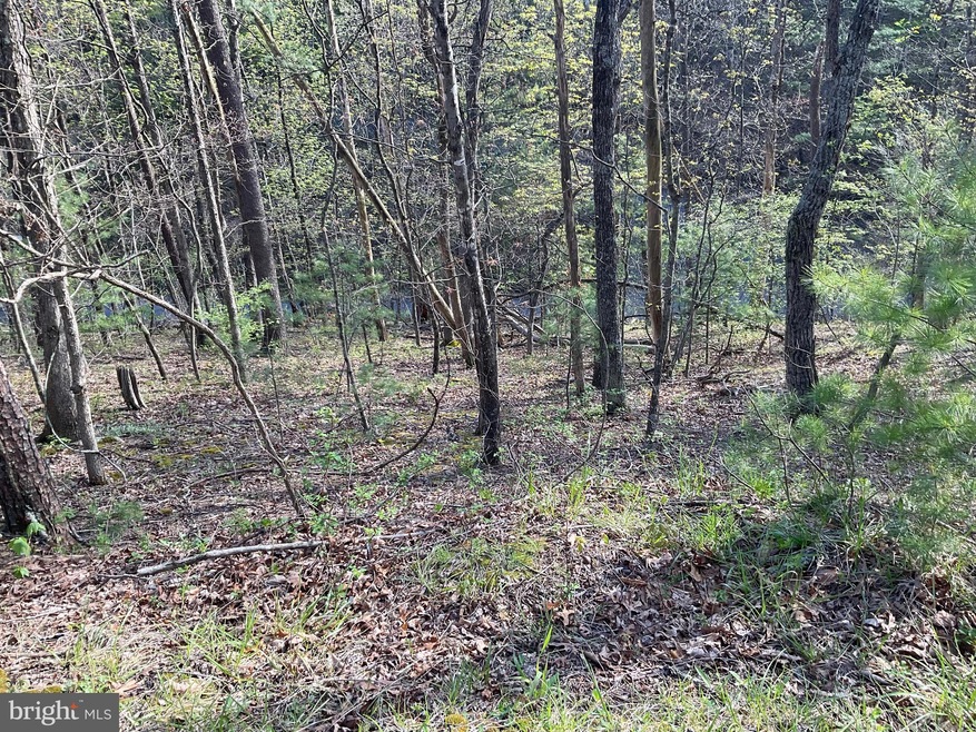 TBD Johnston, Basye, VA 22810 - photo 1