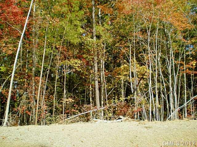 Land/Lot