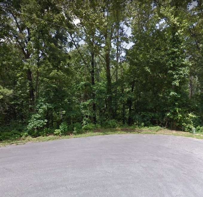 0 Wreay Ln, Bella Vista, AR 72714 - photo 1