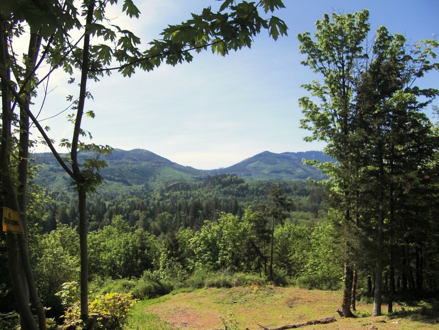 0 Reese Hill Rd unit 637157, Sumas, WA 98295 - photo 1