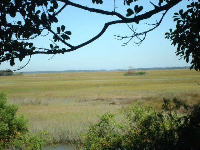 369 Moss Oak Cir unit 369, St. Simons Island, GA 31522 - photo 1