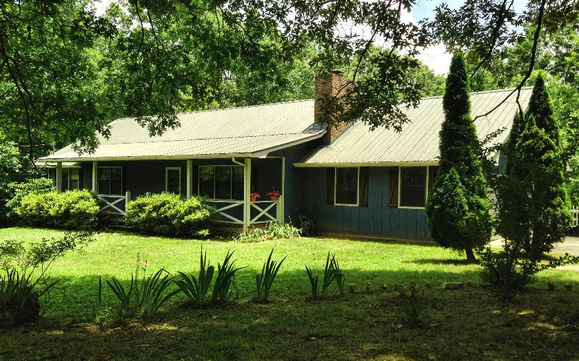 Main View