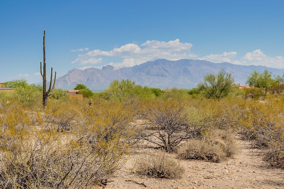 N Crooked Trail_15
