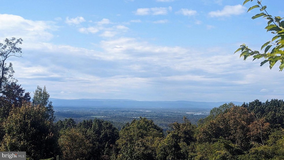 Jenn Truman Real Estate Agent in Front Royal, VA