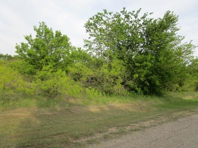 12019 Trailwood Dr, Whitney, TX 76692 - photo 1