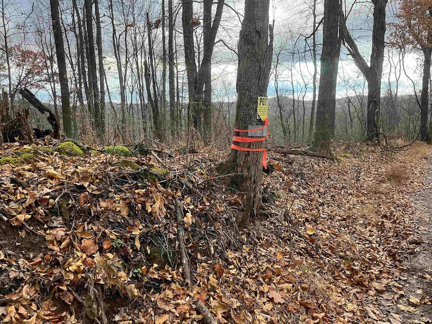 000 Crawford Rd, Crawford, WV 26343 - photo 1