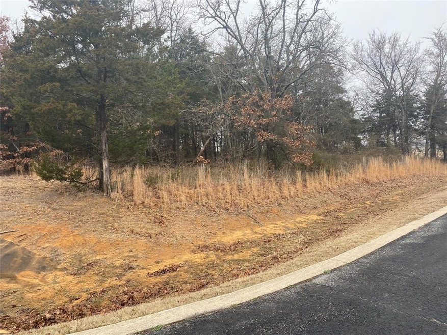 105A Stonewolf Ct, Gordonville, TX 76245 - photo 1