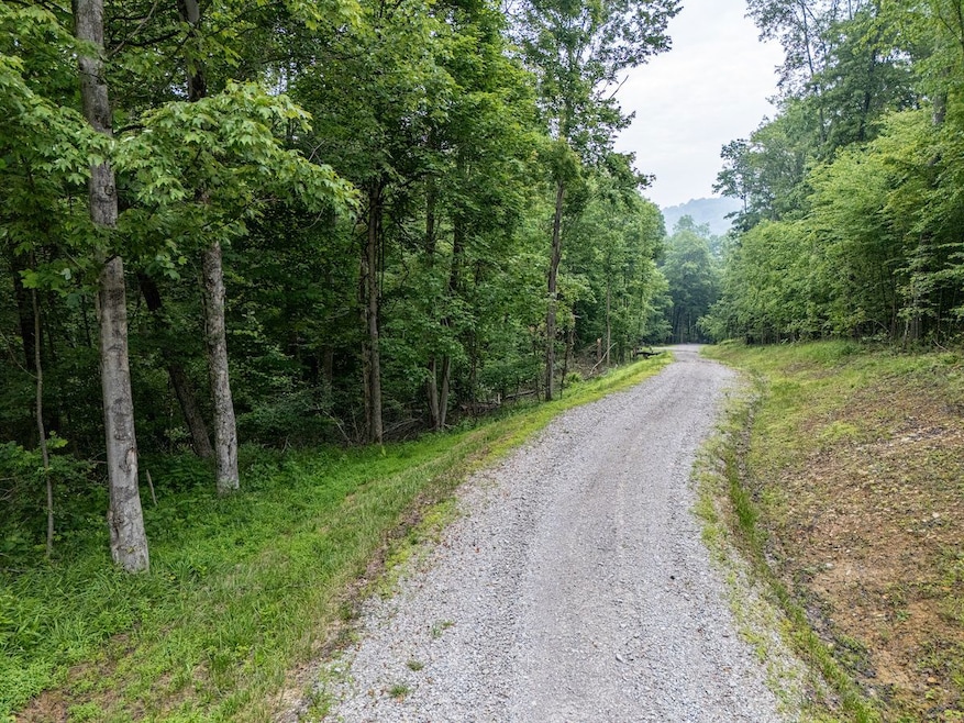 Lot 130 Laurel Loop, Bruceton Mills, WV 26525 - photo 1
