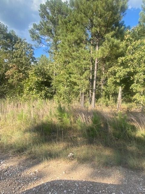 11 Sweet Elm Ln, Broken Bow, OK 74728 - photo 1