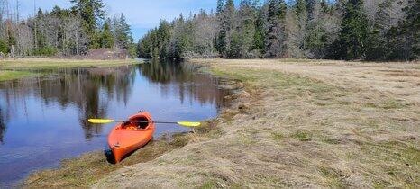 Sold $200,000 • Co-Listing Agent