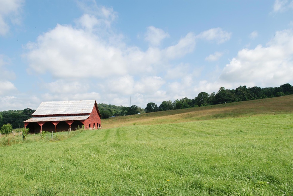 0 Roach Rd unit 1006583, Rutledge, TN 37861 - photo 1