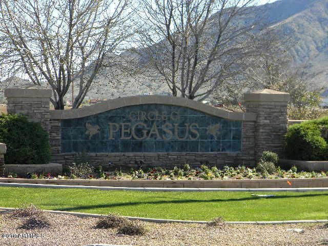 Pegasus Entry