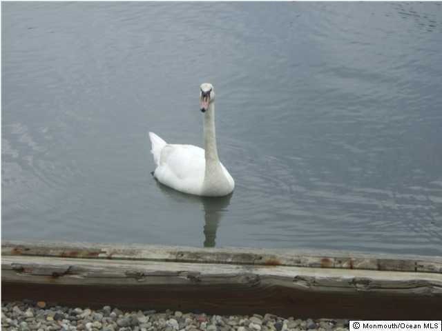 9 Bridgewaters Dr unit 4, Oceanport, NJ 07757 - photo 1