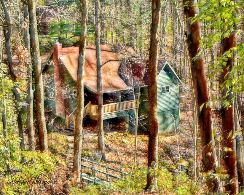 _SEP5153 Up a Creek Cabin 8x10small
