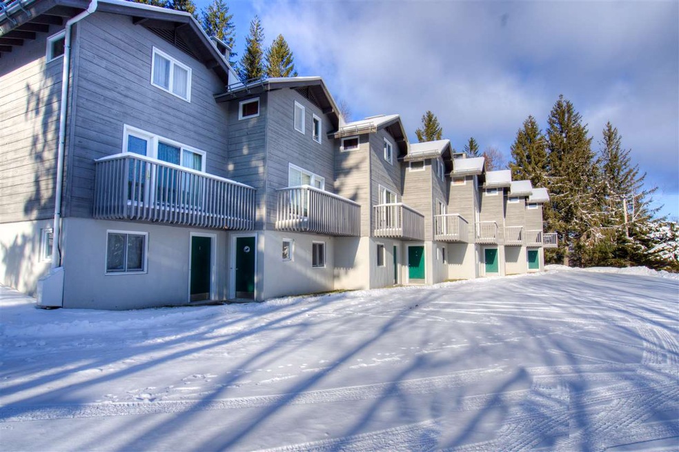 2 Black Birch Rd, Winhall, VT 05340 - photo 1