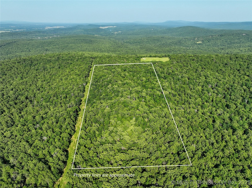 1 SE Hulsey Prairie, Panola, OK 74578 - photo 1