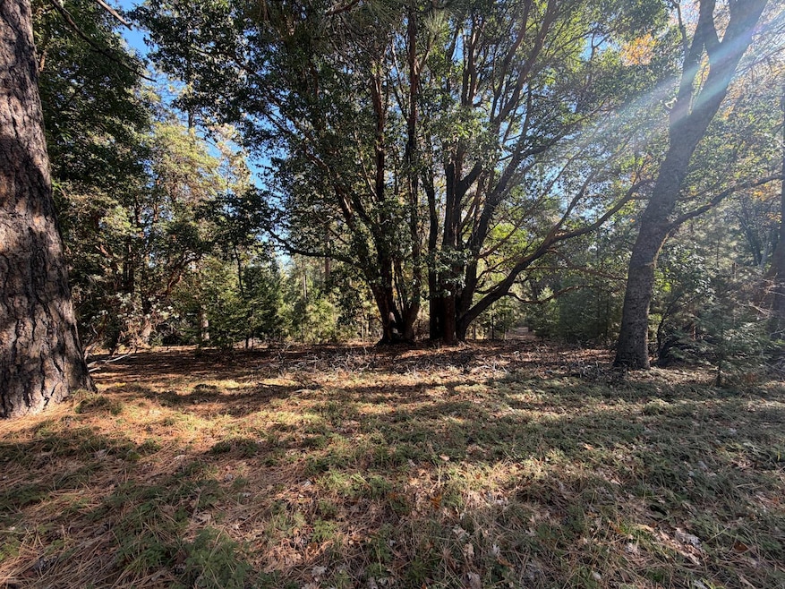 17686 S Mace Dr, Pioneer, CA 95666 - photo 1