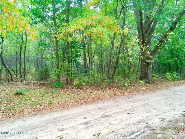 Wooded Parcel