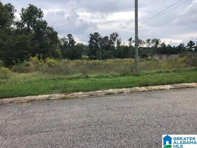 0 Sarasota Ln unit 2 1299830, Calera, AL 35040 - photo 1