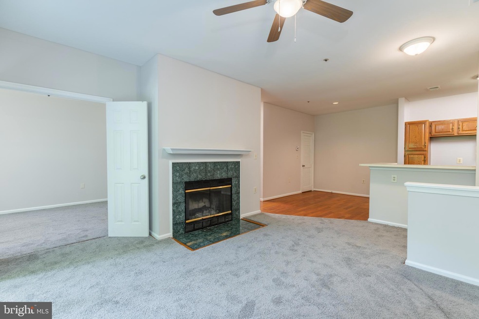 4408 Silverbrook Ln unit K003, Owings Mills, MD 21117 - photo 1
