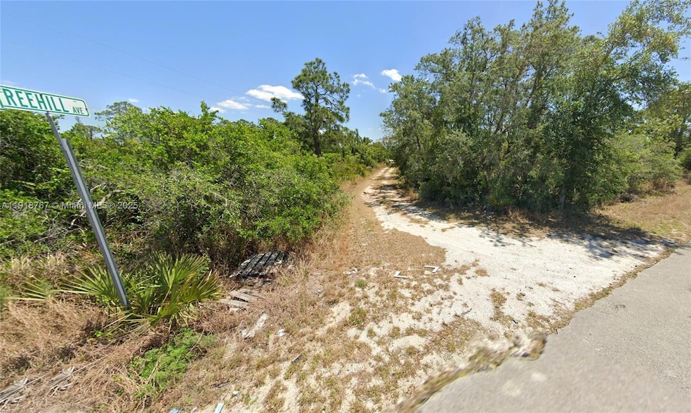 1027 Freehill Ave, Lake Placid, FL 33852 - photo 1