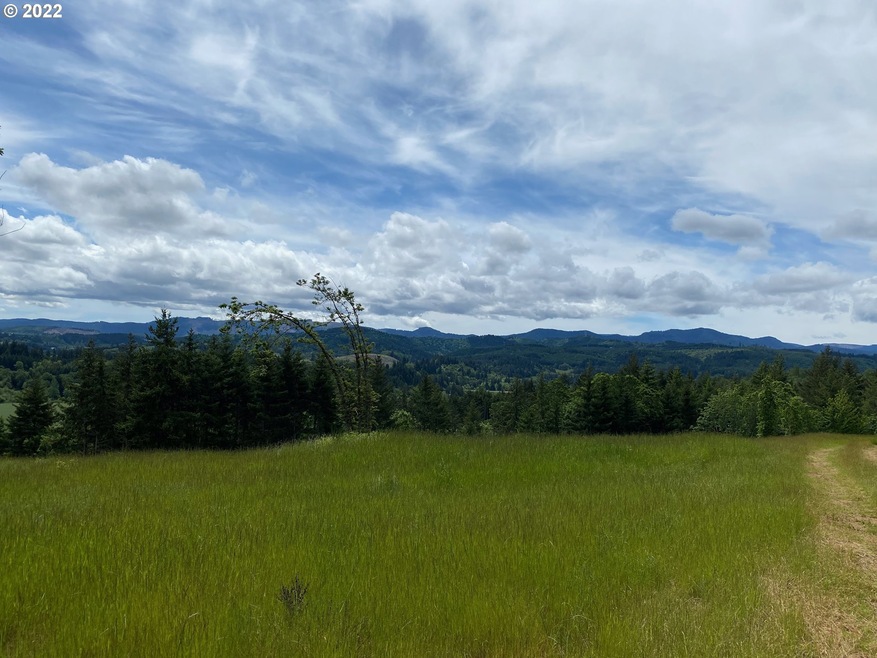 0 Business 18b Hwy unit 22447435, Willamina, OR 97396 - photo 1