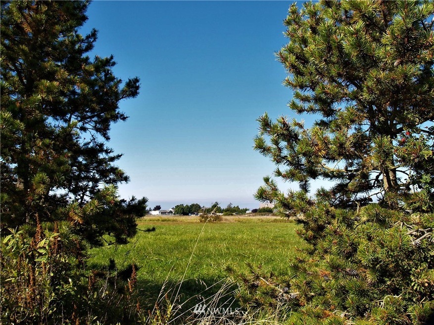 View of front of lot from E. Anderson Rd.