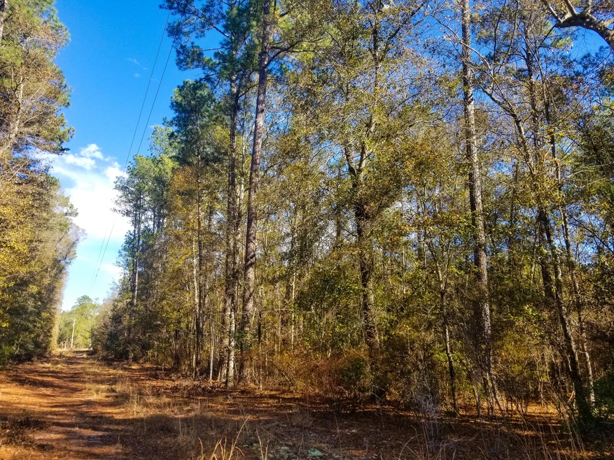 Cannon Road Tract (9)-2