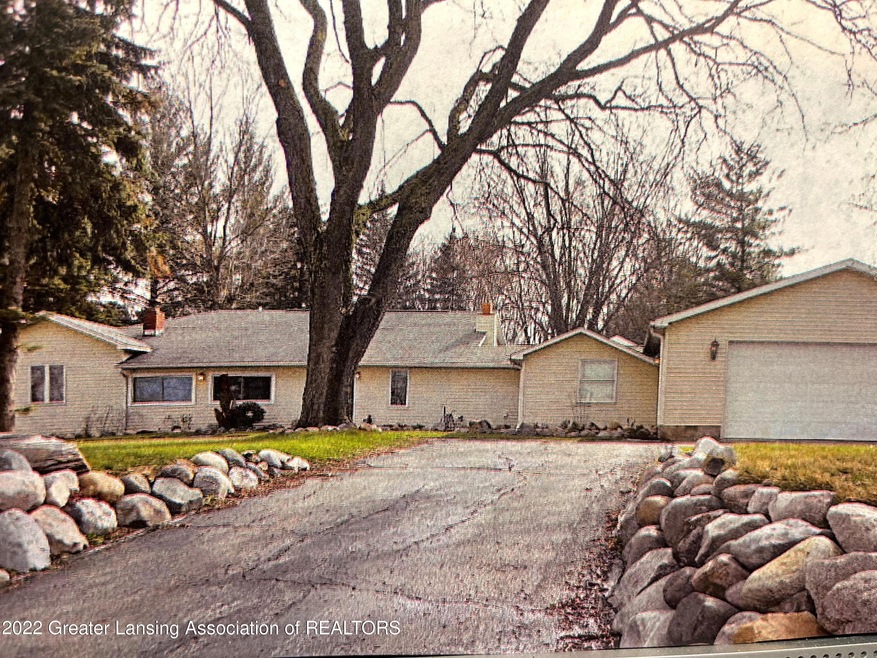 Elmwood (1)