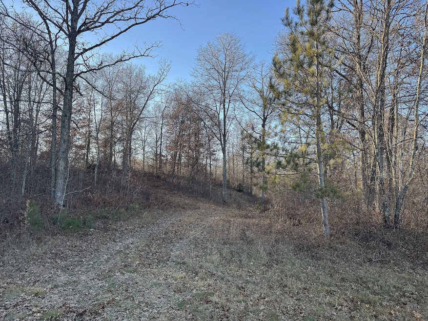 TBD Pow Rd, Springbrook, WI 54875 - photo 1