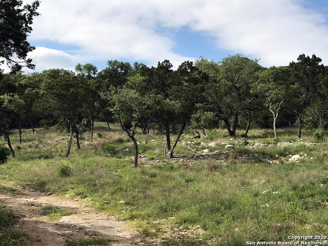 20710 Osprey Way, San Antonio, TX 78256 - photo 1