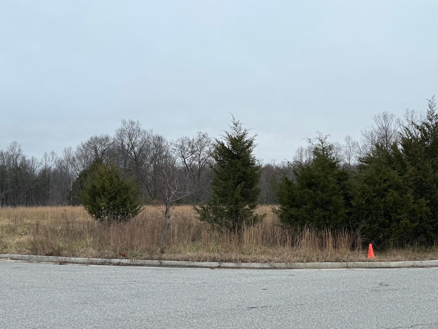 Lot 20 Brookview Ln, Hardy, VA 24101 - photo 1