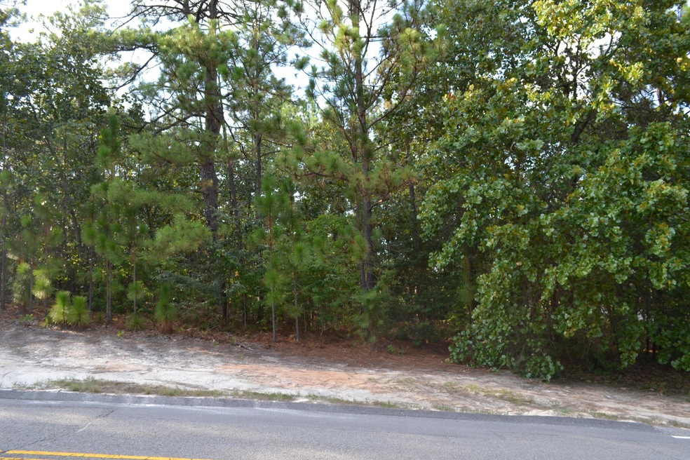 DSC_0459