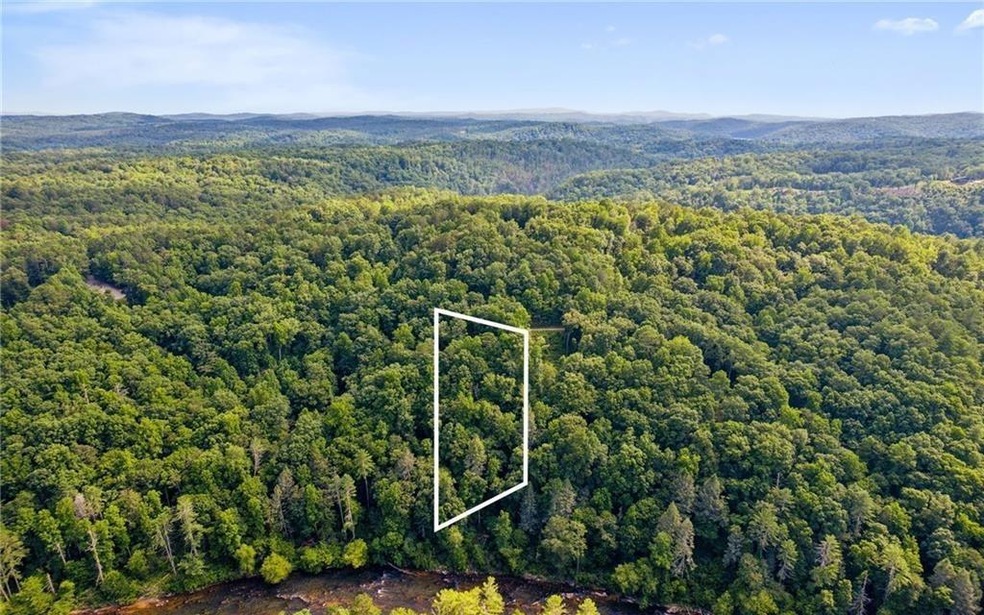 Bird's eye view with a forest view