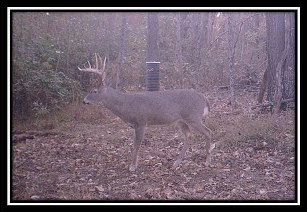 image004