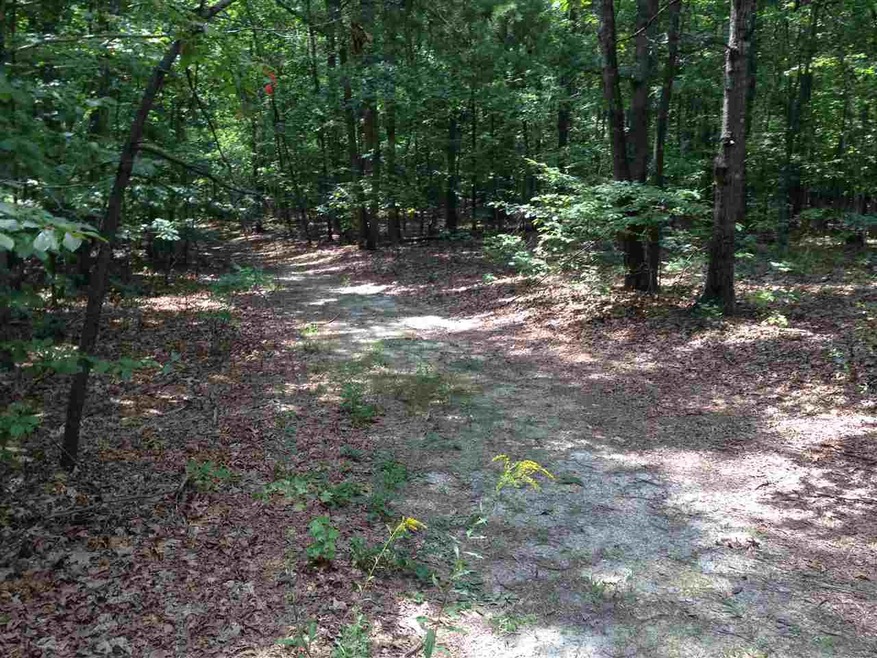 Lot Billy B Rd Rd, Louisa, VA 23093 - photo 1