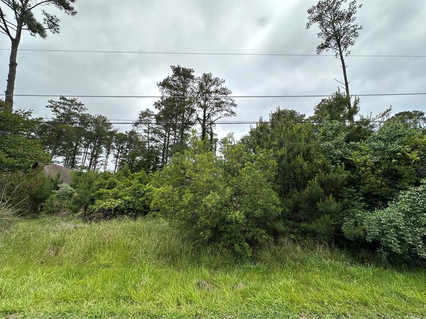 5435 Oak Dr unit 19F, Chincoteague Island, VA 23336 - photo 1