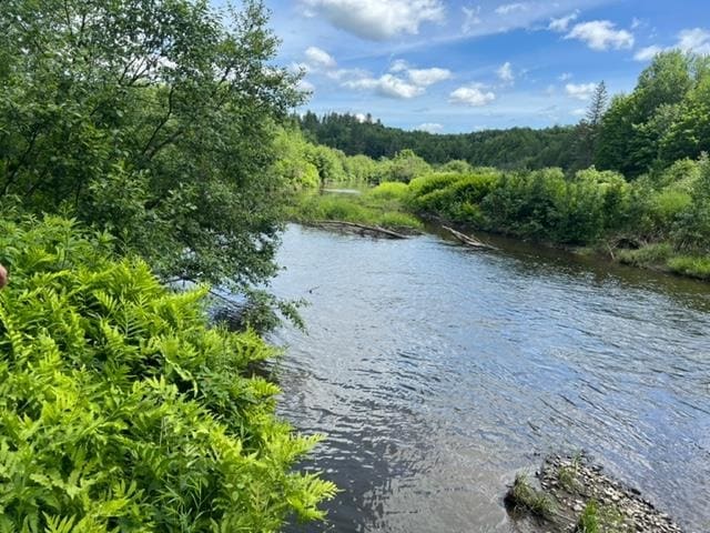 0 Rt 14 unit 4918518, Albany, VT 05820 - photo 1