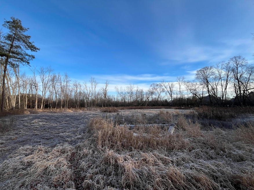 Pine Tree Cir View 1
