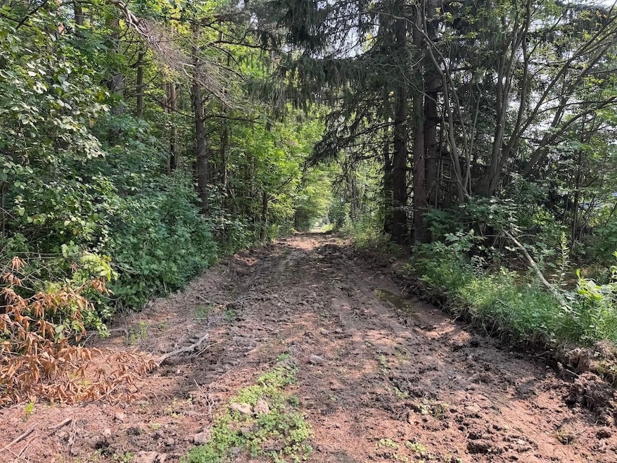 0 Allen Rd unit 24370349, Sardinia, NY 14055 - photo 1