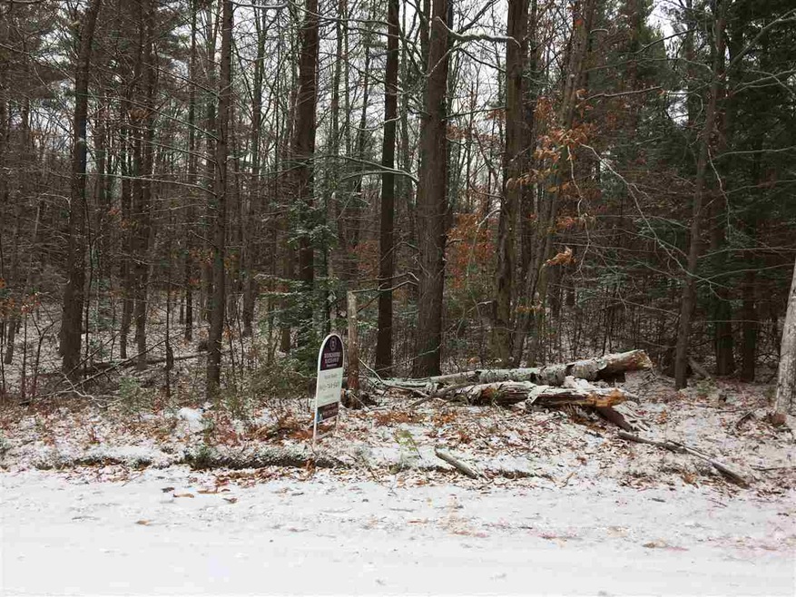 0 Snow Rd unit Lot  3 4609585, Hill, NH 03243 - photo 1