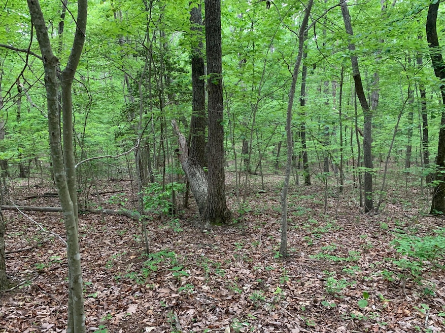 000 Stewart Ln, Rising Fawn, GA 30738 - photo 1