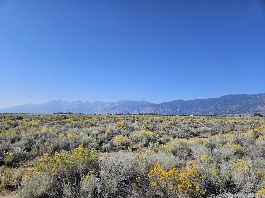 1205 Stephanie Way unit 57, Minden, NV 89423 - photo 1