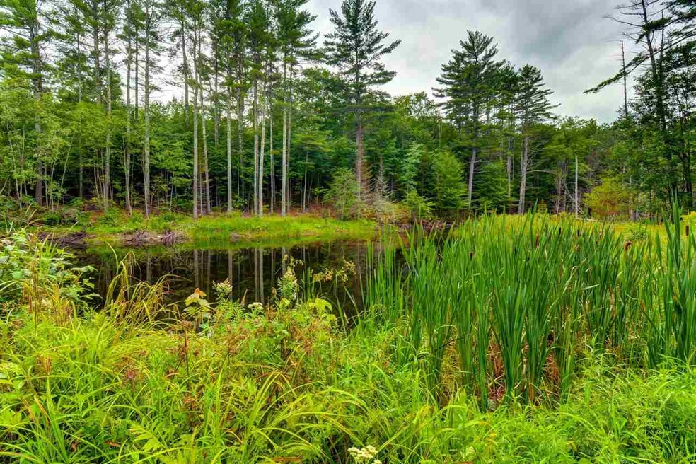 1277 Governor Wentworth Hwy, Moultonborough, NH 03254 - photo 1
