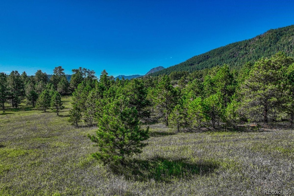 00 S Perry Park Rd, Larkspur, CO 80118 - photo 1